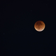 Illustration for article titled 34 Amazing Photos Of The Super Blood Moon